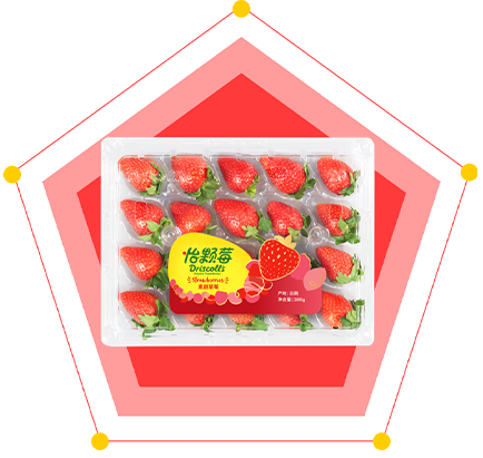怡顆莓PFAS致癌物風(fēng)波｜SH-CIC3100B在線燃燒離子色譜，全覆蓋篩查果蔬全氟污染物